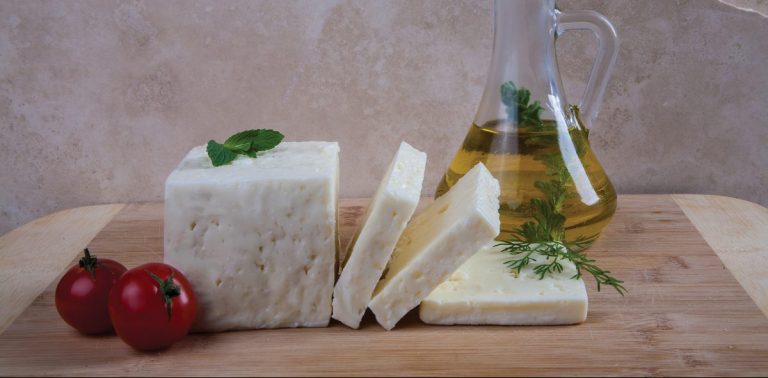 Yeni Başlayanlar İçin Slow Food Hareketi ve Slow Cheese Bodrum Festivali