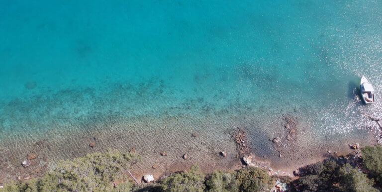 Bodrum Ağustos Etkinlikleri